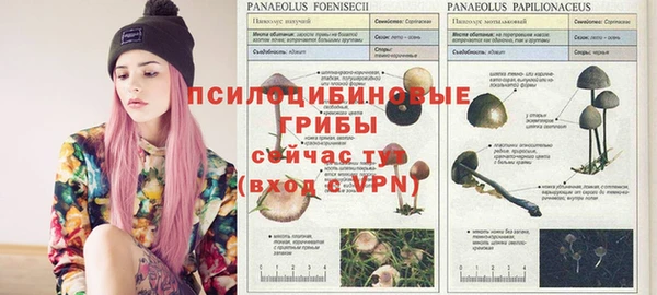 сатива Козельск