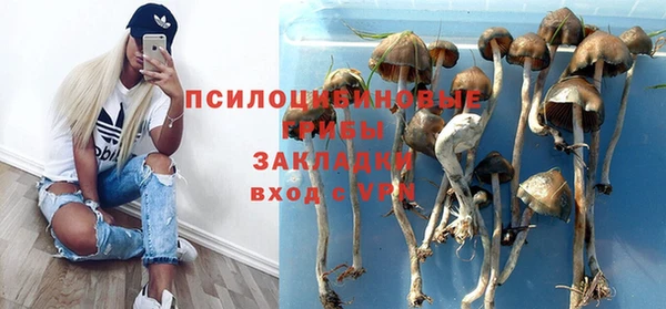 сатива Козельск