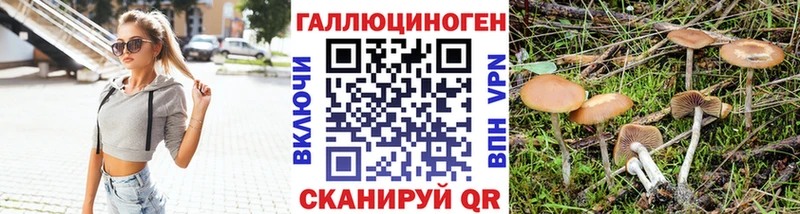 Галлюциногенные грибы MAGIC MUSHROOMS  mega зеркало  Гвардейск  где можно купить  